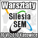 Warsztaty SEM 2010