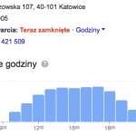 Godziny natężenia ruchu