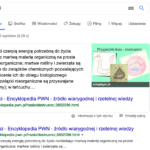Paragraf direct answer