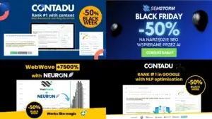 Black Friday SEO 2025